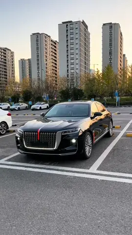 All New 2025 Hongqi H9#chinesecars #hongqi #hongqih9 #cars 
