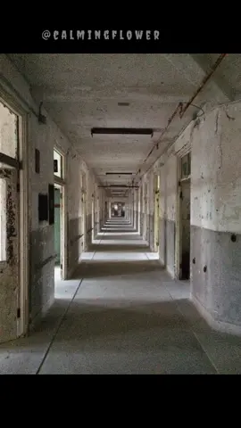 hantu hantu hantu dan hantu terus pokoknya #angker #horor #hantu 