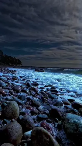 #اغاني #شعر #لايك__explore___ 