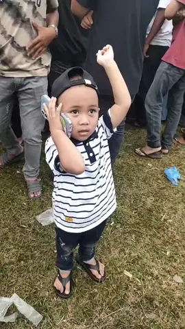 halo dek