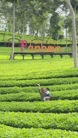 #kebuntehpanama #wonosobo #liburan #dieng #bahagia #healing #2025 