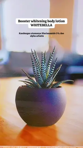 Lembut bgt😋 #pemutihbadan #fyp #whitening 