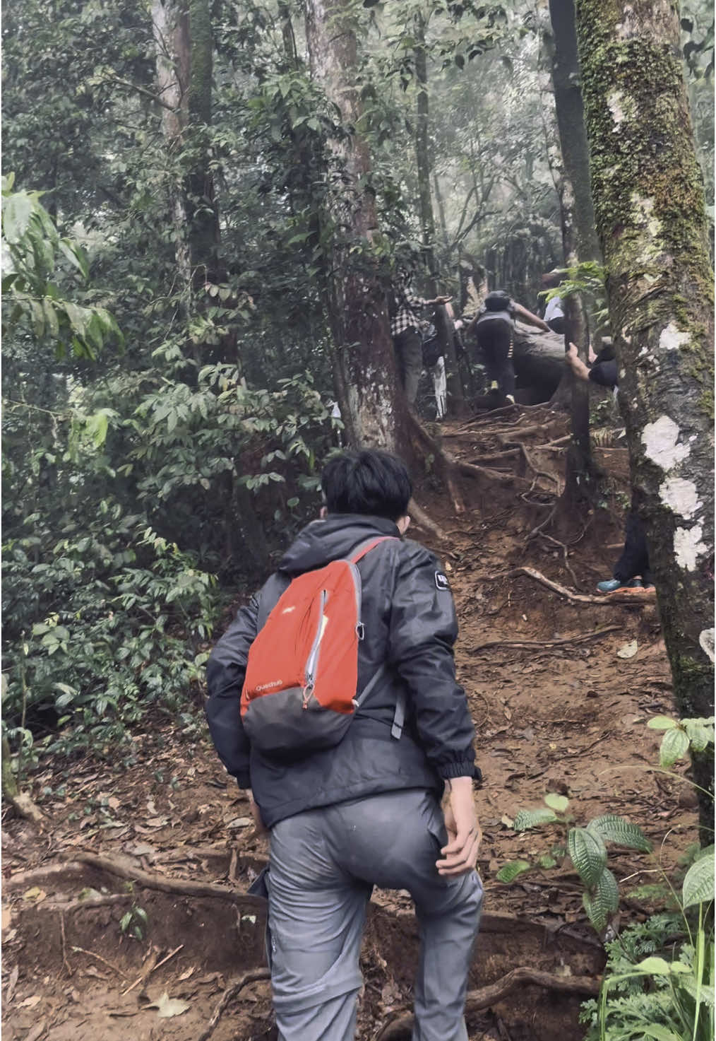 🫀 #gunungindonesia #keindahanalam #gunungrajabasa 