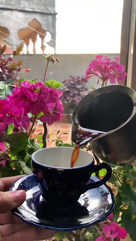 #صباح_الخير #مالي_وانا_مالي #ناسية_هنا_ناسية #fyp #coffee #foryou #viral #tiktok #oldsong #goodmorning #foryou #your_coffee #تصويري #وردة_الجزائرية #وردة #flowers #pink #وردة_الجزائرية🎼♥️ 