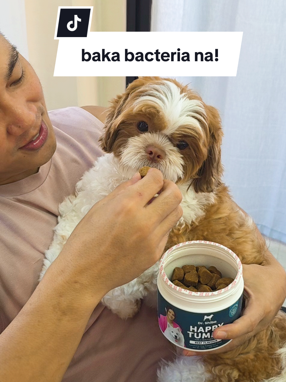 kaya pala kamot ng kamot, buti nay dr shiba #drshiba #drshibahappytummy #drshibafunctionaldogsnacks #dogprobiotics #probioticsfordogs #dogguthealth #petsupplements #dogtreats #happytummyfordogs 