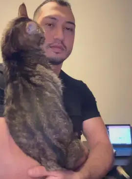 A cats Jealousy#fyp#cat#funnypets#cute#funnyvideos#pet#iral#usa#utecat#funnytiktok#funny#funnyanimals#fypシ#catsoftiktok#foryou#funnycats