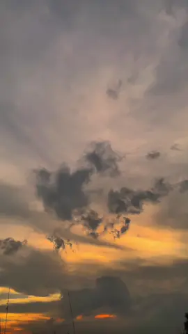 منك تعلمت جمال الحب وألم التخلي ''darimu aku belajar, indahnya mencintai dan perih ya merelakan🕊