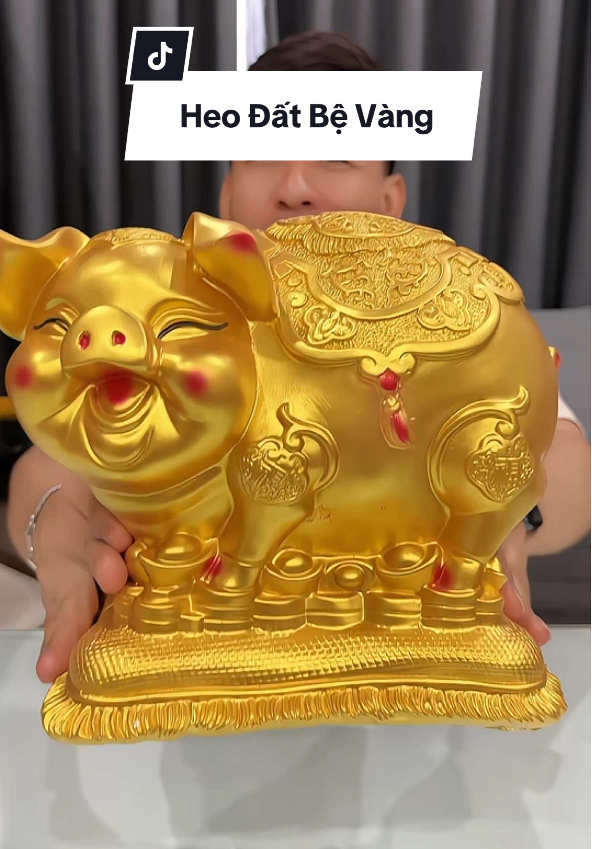 Heo đất bệ vàng size to 27 #haohomhinh #heodat 