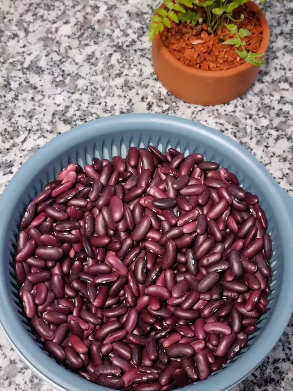 Đậu Đỏ Hạt To Sống Dùng Để Nấu Chè, Chế Biến Các Món Ăn #daudo #daudohatto #daudocaolanh 