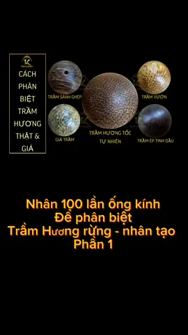 Nhân 100 lần ống kính điện thoại để nhận biết Trầm Hương tự nhiên và trầm hương nhân tạo! Để tậu được trầm hương chuẩn cùng em tìm hiểu kiến thức chuyên sâu nhé #tramhuong #phanbiettramhuong #tramhuongtunhien #phongthuy #vongtay #vongtaytramhuong #vongtaynam