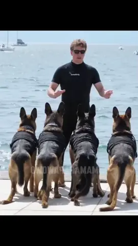 Trainer and dog 👍👍👍