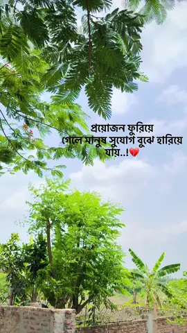 😅#foryou #fyyyyyyyyyyyyyyyy #viral #tiktokbangladesh #fyp #trending #viralvideo #tiktokcreator 