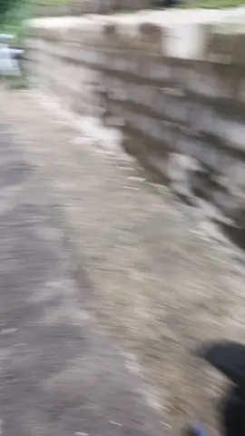 kurang jelas kalo di video in suaranya 🗿#parkirajaganteng #proper #beatfigenk🔥🚀 #beatfimodifikasi #kenalpotdraco 