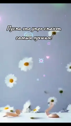 #Зеркальце #доброе #утро