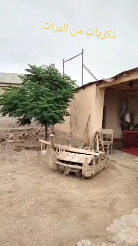 ###بيرسفي #بيرسفي #بيرسفي #بيرسفي #