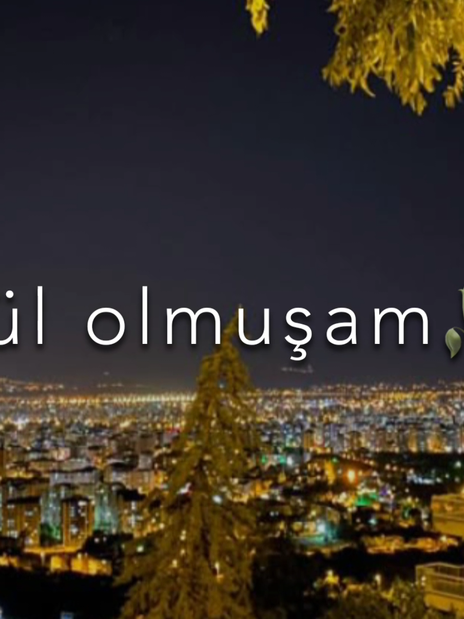 De soyuq qelbinde necə yanıb kül olmuşammm🥀#sevilirsiz😻deyerlisiz🔮keşfet #кешф👑💎olsa💊🎭де🙃🤞 #sevilirsiz🐣💜dəyərlisiz👑 #кешфет🌼øłsа🍀де 
