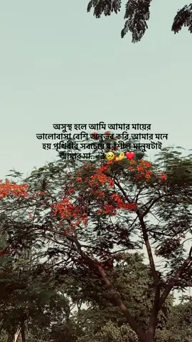 অসুস্থ হলে আমি আমার মায়ের ভালোবাসা বেশি অনুভব করি,আমার মনে হয় পৃথিবীর সবচেয়ে যত্নশীল মানুষটাই আমার মা..<3🥹🤌❤️🖤#pppppppppppppppp #tiktok #foryou #tk @TikTok for Business SEA @TikTok Bangladesh @TikTok Buzz PH ✨ 