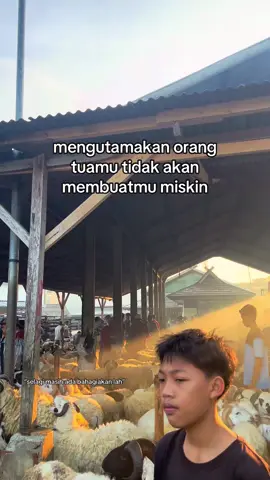 kalau kita selalu mengusahakan semuanya demi orangtua kita dan pastinya Allah juga tidak akan lupa kepada kita dia akan memberi apa yg kita butuhkan ✨ #peternakmuda #fyp #sobatngaret #xyzbca #foryou #purwakarta #masukberanda #motivasi #motivation #bersyukur 