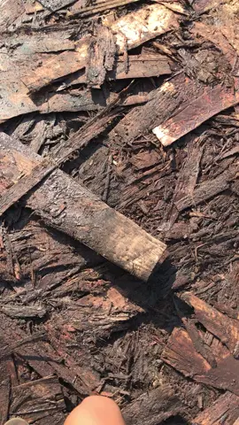 Muatan full kayu keras ambles sitik di angkat ke wes ra mampu bolo😂#fypシ゚viral #purworejo24jamfyp #herekstyle #racingwood #sopir 