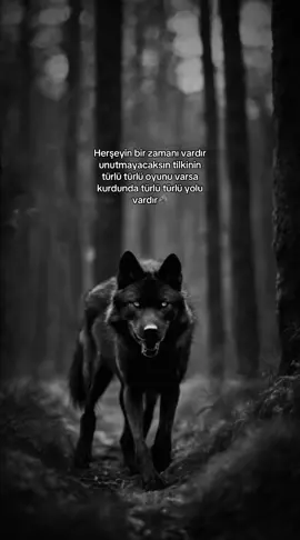 Herşeyin bir zamanı vardır 🦅#story #kurt #sözler #türkçütok #asalet #keşfettiktok #keşfetbeniöneçıkar #keşfetteyizzz #fypp #lafsokma #wolfman #capcut #kurtadam #keşfet #ağırsözler #manalısözler 