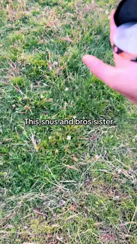 🤤Follow for more E-scooter content!