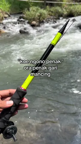 P🎣?
