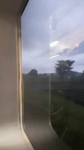 Bagian 2 | ASMR Announcer didalam kereta new image Wijayakusuma sebelum memasuki stasiun Rogojampi #fypage #fyp #daop5  #daop9 #banyuwangi #kai #keretaapiindonesia #railfans #railfansindonesia 