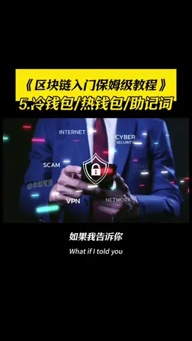 第5集：钱包是啥？冷钱包、热钱包、助记词怎么用？《区块链入门保姆级教程》#币圈魔童 #区块链 #web3 #加密货币 #比特币 
