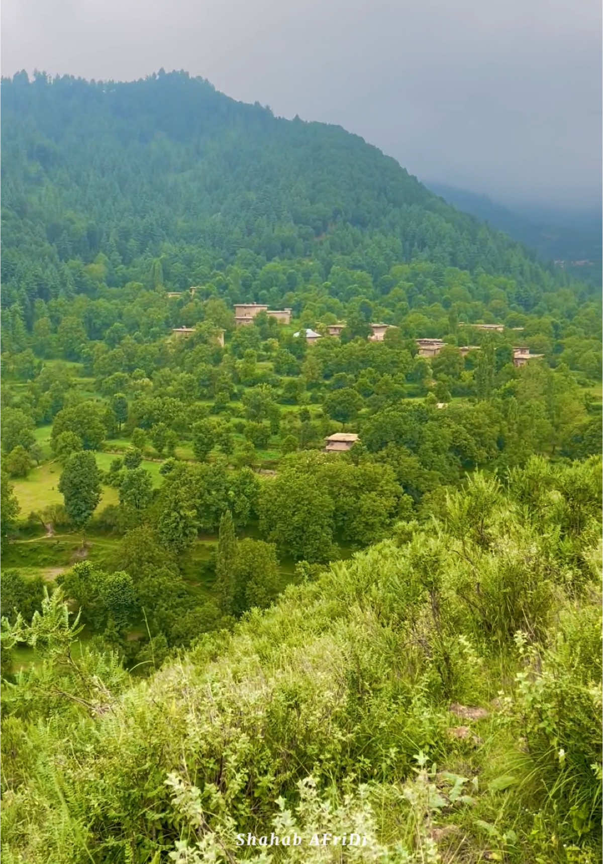 Aw Ta charta ye janana ⛰️ 🌸                 #tirahvalley #explore #foryoupage #typ #watan #peaceful #mountains #viralvideo #tirahhouse #shahab_afridi313 