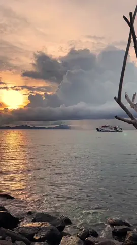 #sunset #sunsetvibes #sunsetbeach #senjasorehari #senja #laguaceh #laguacehviral #laguacehviralditiktok #acehviral #acehtiktok #musikaceh #musikacehterbaru #ramlanyahya #amirahmi 