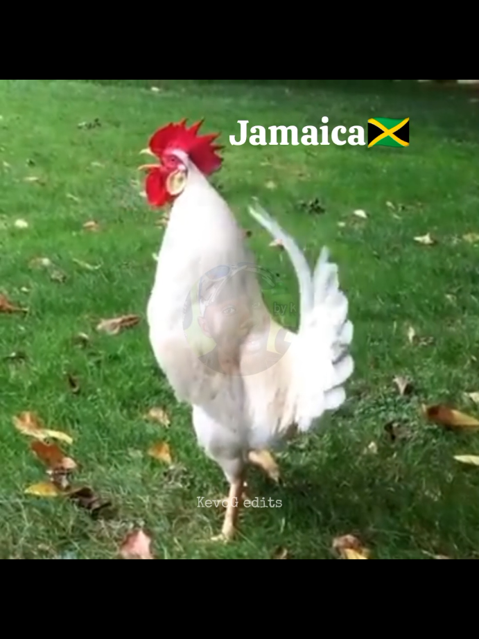 OTHER COUNTRY VS ☠️🥶 WATCH TO THE END #ogopakenya #kenya #southafrican #cockcrow #fyp #kenyantiktok #kenyanmemes #meme #memepage #memegram #KevoG #viral #reels #othercountry #challenge #othercountrychallenge #kenyanflix #kenyanfighters #hilarious #funny #lol #comedy #lmao #memes #jokes #lmfao #funnymemes #humor #meme #laugh #haha #fun #instagood #dankmemes #funnyvideos #dank #joke #laughing #memesdaily #Love #funnypictures #crazy #follow #friends #edgy #photooftheday #epic #cringe 