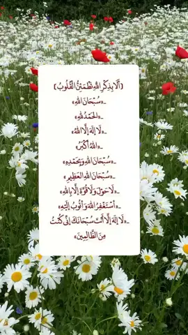 #بسم_الله_الرحمن_الرحيم #ألا_بذكر_الله_تطمئن_القلوب #سبحان_الله_وبحمده_سبحان_الله_العظيم #سبحان_الله_الحمدلله_لااله_الا_الله #قرآن_كريم #quran_alkarim #ارح_سمعك_بالقران #عبد_الباسط_عبد_الصمد 