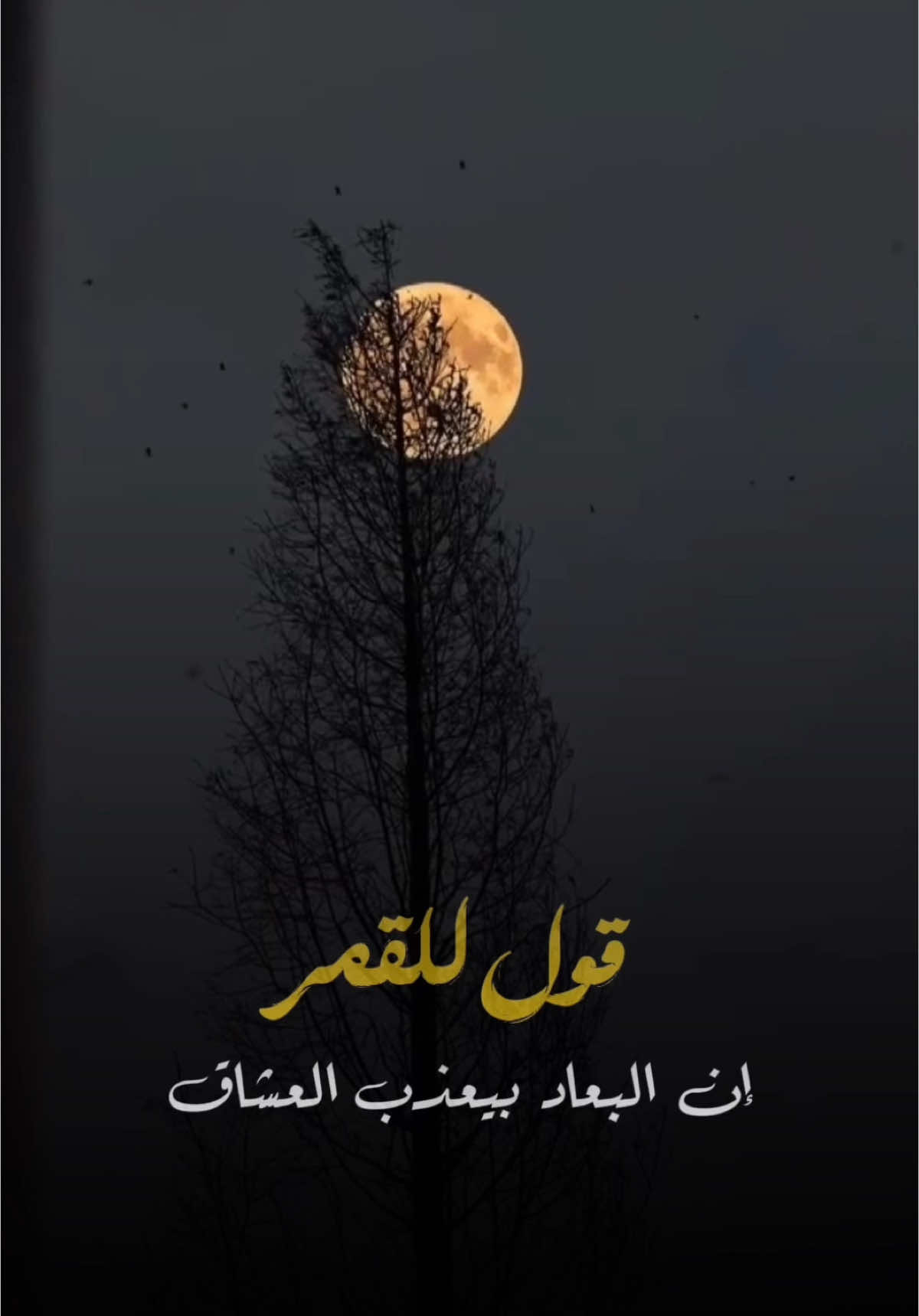 #CapCut  قول للقمر#فضل_شاكر  @𝕋𝕙𝕖 | 𝕏 𝕃 