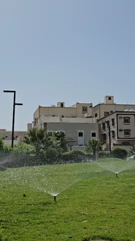 الحمدلله 💚#fyp 