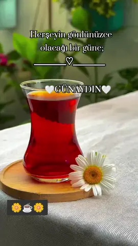 Günaydın musmutlu vakitler sizlerle olsun 🤲☕🌼🤗 #günaydın_hayırlı_sabahlar #günaydın #keşfet #fy 