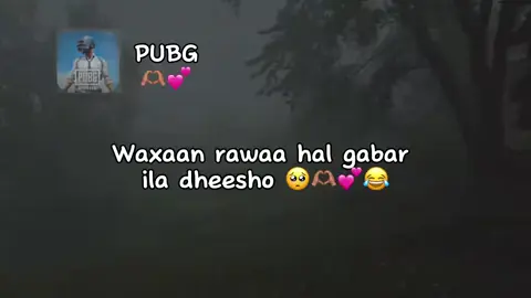 Ma_helA_😂#typ_#somalitiktok120somli #viraltiktokvideo seen...more 