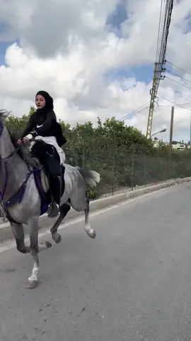 #خيل_وخياله🐎 #لبنان_مصر_الخليج_سوريا #مصر_السعوديه_العراق_فلسطين @al alsltanclup @خيل وخياله @Hanin💫 