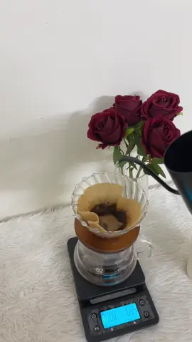 ❤️❤️❤️❤️