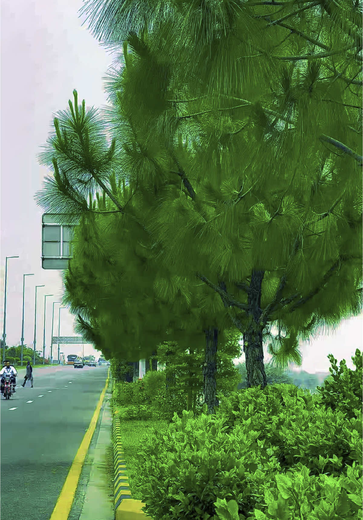 Beautiful Islamabad..♥️🌺#foryou #fyp #foryoupage #unfrezzmyaccount #viralvideo #islamabadview2 #viral #tiktok @~🎀♡ ᴀժ𝗲𝐞ľᴀ𝗵𝘮คժ ♡🎀~ 