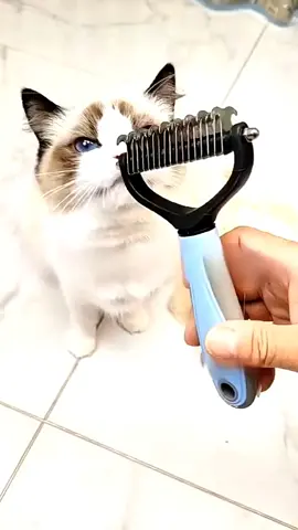 Có thể mở nút thì không nên cạo lông, đề nghị dùng loại lược mở nút chuyên dụng này, mèo lông dài lông ngắn đều có thể dùng # người mới nuôi mèo # quà tặng # mèo rụng lông # lược mèo # lược mở nút