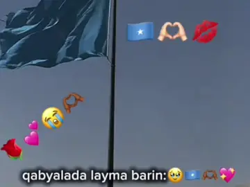 somalia hanolato#somalitiktok #somalitiktok #fypp #fypp #views 