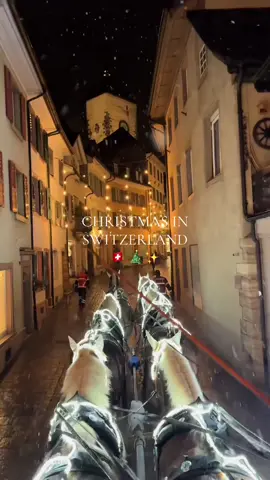 Send this to the person you’d go to Switzerland with! ❤️🎅🎄✨ #snowing #snowfall #snow #whitechristmas #wintervibes #winter #snowman #christmas #christmas2025 #christmastiktok #december #christmascountdown #xmas #xmasballin #xmastree #christmasbreak #christmaslights #switzerland #switzerland🇨🇭 #switzerlandchristmas 