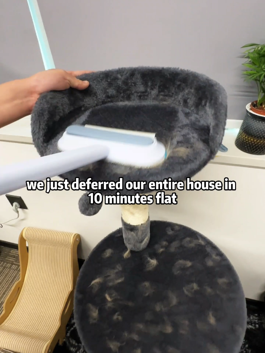#supercats18 #thesupets we just deferred our entire house in 10 minutes flat, because I get this 4-In-1 Pet Hair Removal tool.#pethacks #mydailylife #petlover #cathairremoval #pethairremoval 