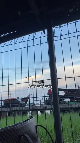 pergi jauh jauhhh cuih#jambitiktok #jambiviral #jambipride🏴‍☠️ #fyppppppppppppppppppppppp #jambipride #jambicity #fypシ゚viral🖤tiktok 