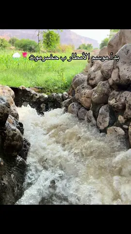#creatorsearchinsights #حضرموت #اكسبلو #الشعب_الصيني_ماله_حل😂😂😂 #امطار 🌧️