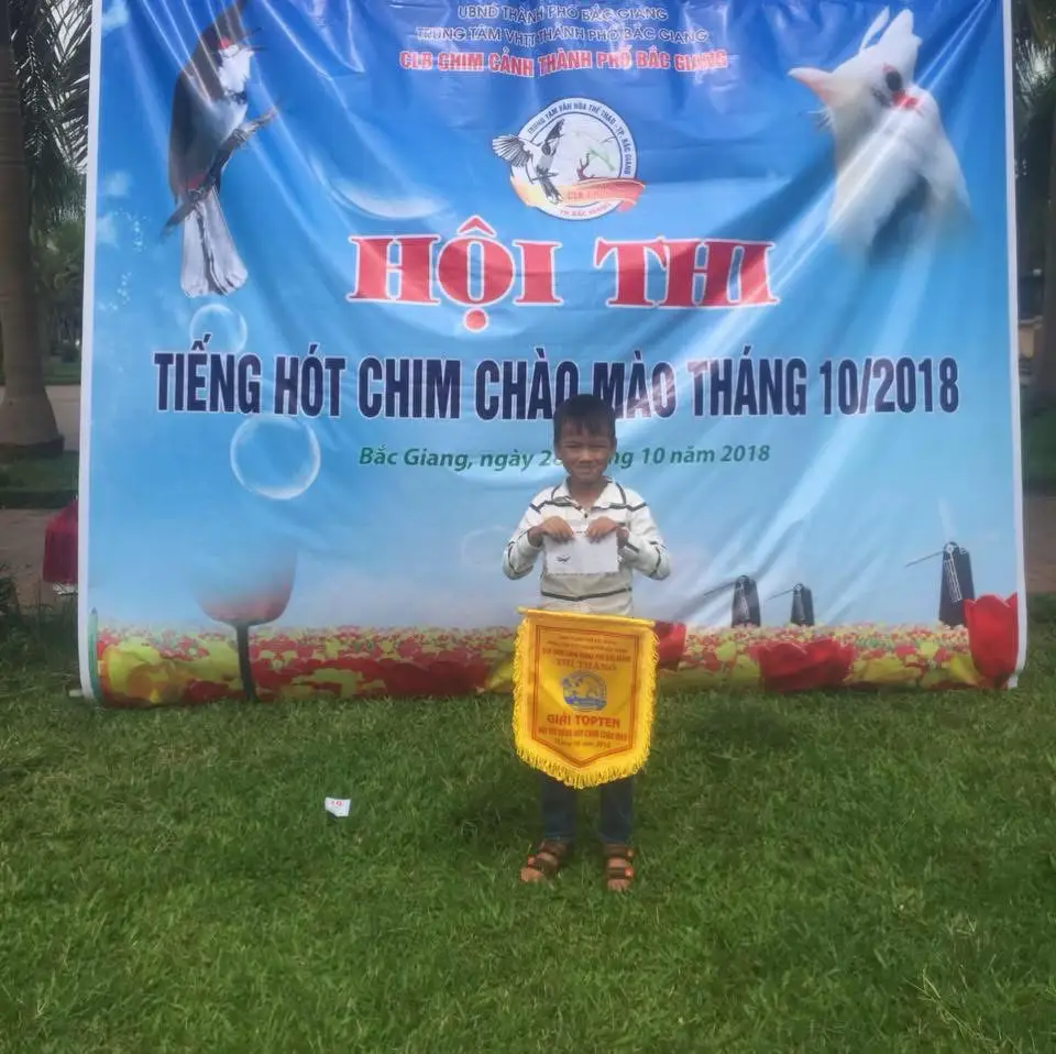 Đam mê lms mà bỏ đc #xhhh #nguyentantrong #chaomaomienbac #mechimchaomao #yeuchimcanh @Vũ Trí Thời @Pha chào mào 