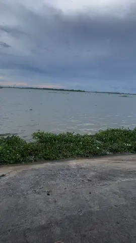 Khi mưa tạnh, phố không chỉ sạch hơn, mà lòng người cũng nhẹ nhõm hơn. #xuhuongtiktok #tamtrang #vairal #caption 