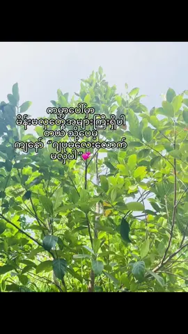 #fypシ゚viral #fypシ゚ #စာသားတူသွားရင်crdပါဗျ😾❤️ 