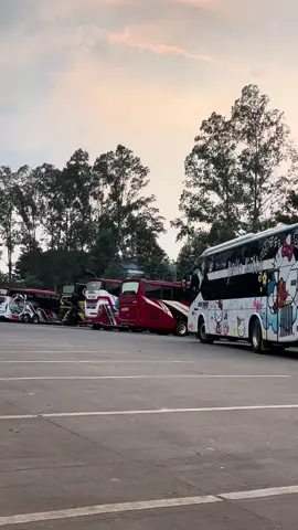 aktivitas sore hari di terminal poris plawad #fypp #masukfyp #videobusindonesia #busmaniacommunity #pecintabusindonesia #videobusindonesia_ #masukberanda 
