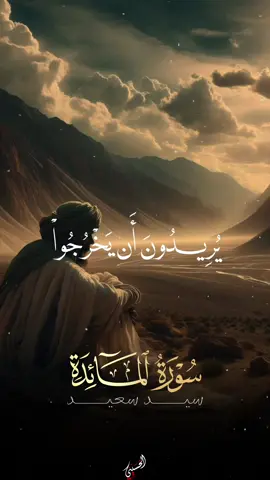 🦩| ♥️♥️♥️♥️♥️♥️📻 . . . . #quran #قرأن #سيد_سعيد 